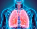 Средства от кашля и заболеваний дыхательной системы
