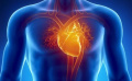 Средства для профилактики сердца и сосудов, от давления