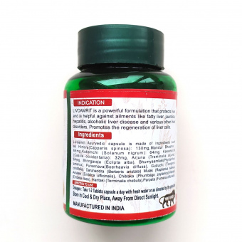 Ливоамрит жировой гепатоз 60 кпас. 500 мг Кармешу Livoamrit Karmeshu